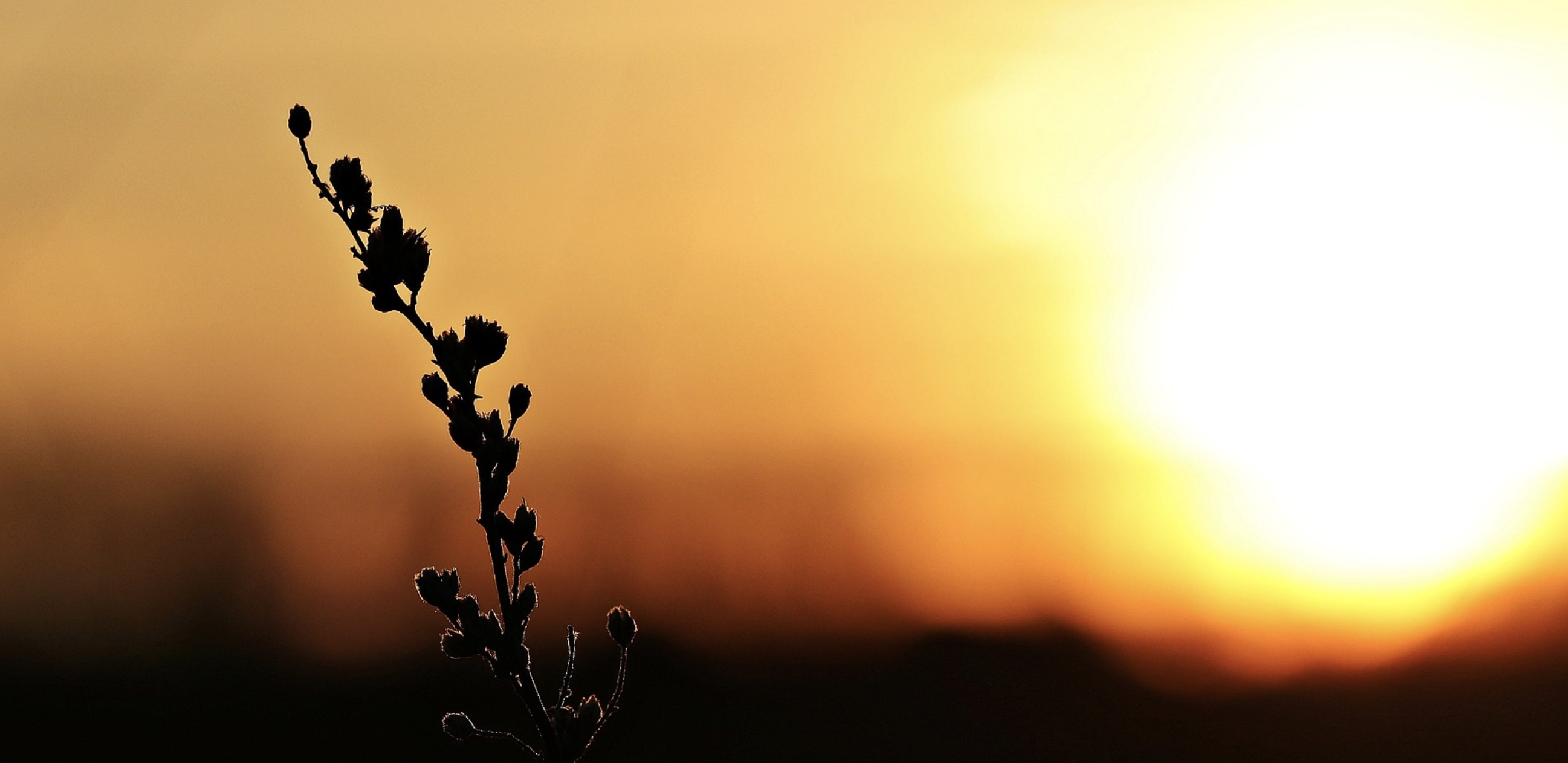 Sun in Capricorn 2024/25